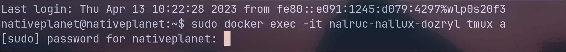 sudo prompt